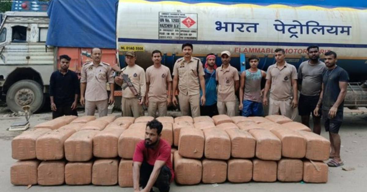 Assam Police seize 1,420 kg of Ganja from Karimganj district
